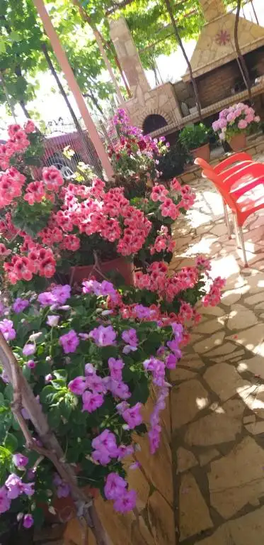 img_id_619993.webp
