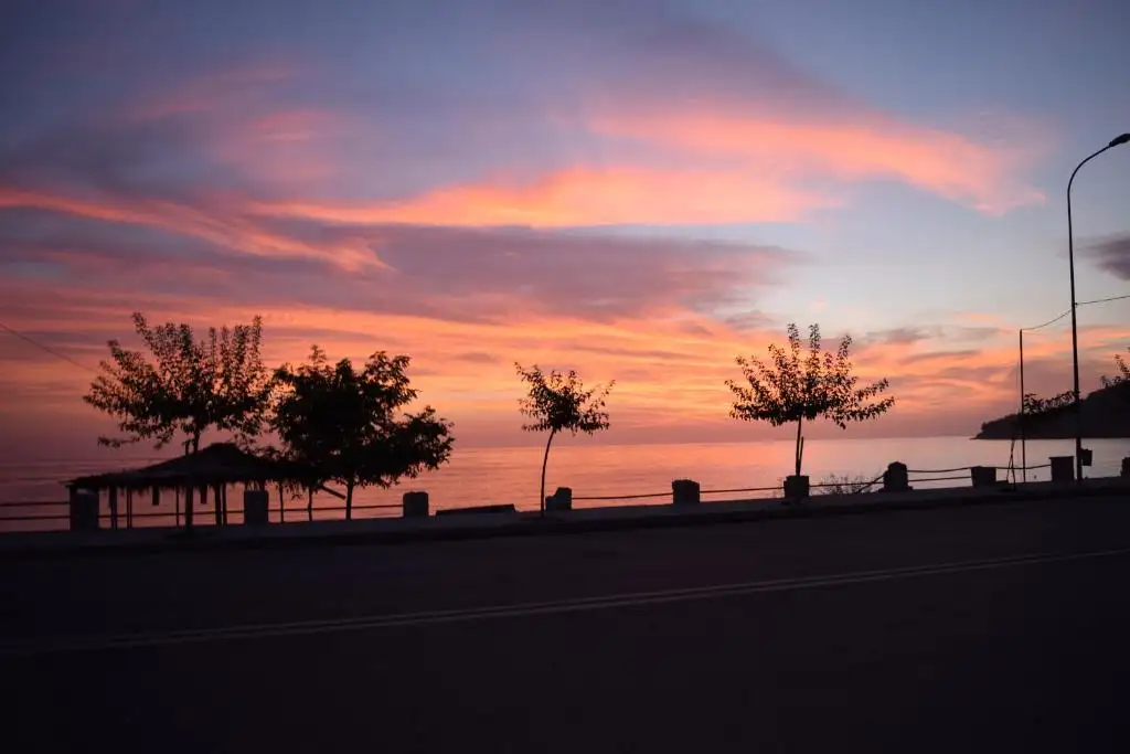 img_id_493817.webp