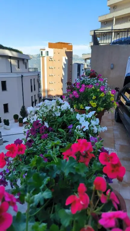 img_id_2461770.webp