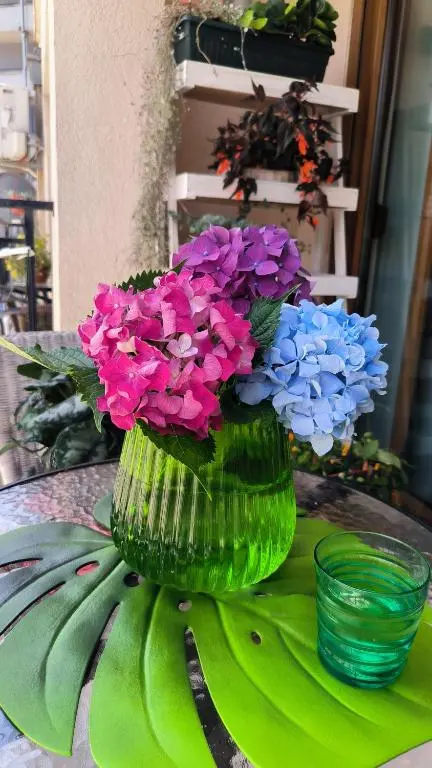 img_id_2461788.webp