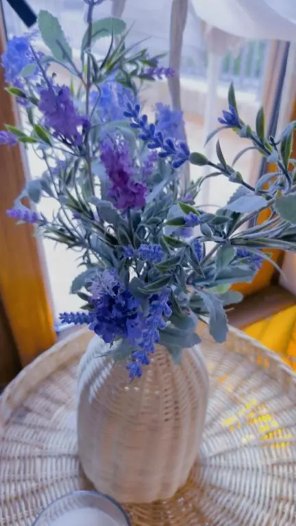 img_id_2461795.webp