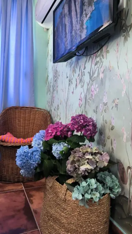 img_id_2461803.webp