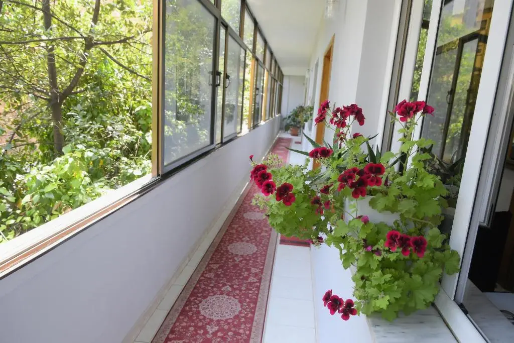 img_id_1092908.webp
