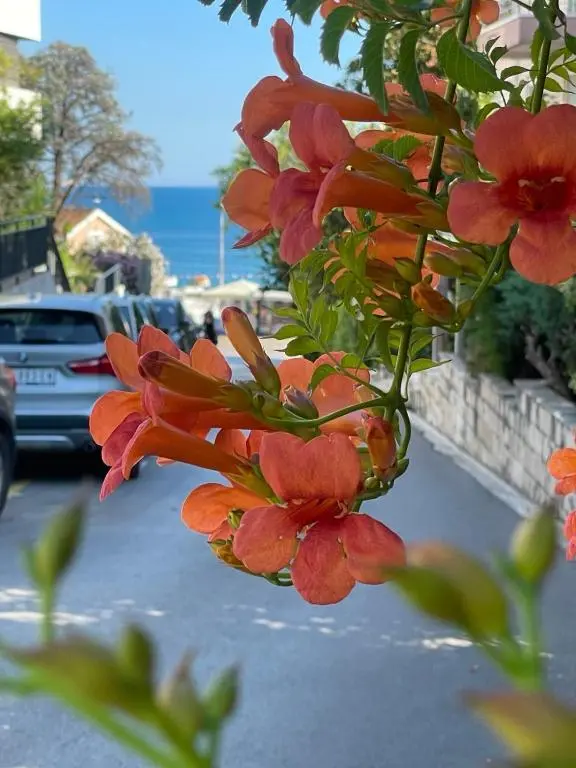 img_id_2461174.webp