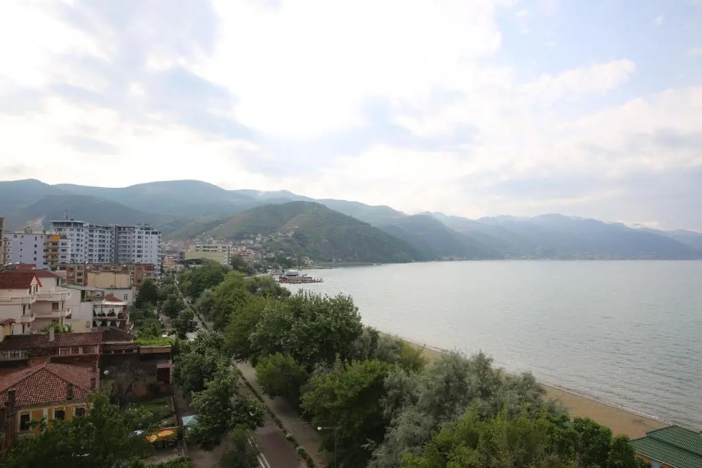 img_id_888209.webp