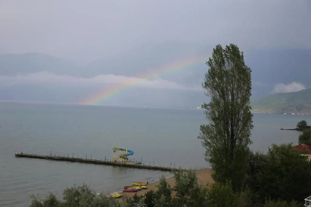 img_id_888282.webp