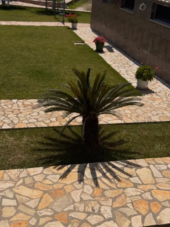 img_id_980737.webp