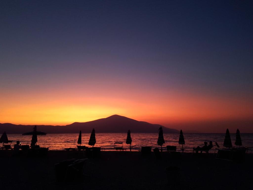 img_id_963937.jpg