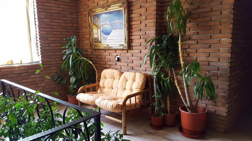 img_id_925680.jpg