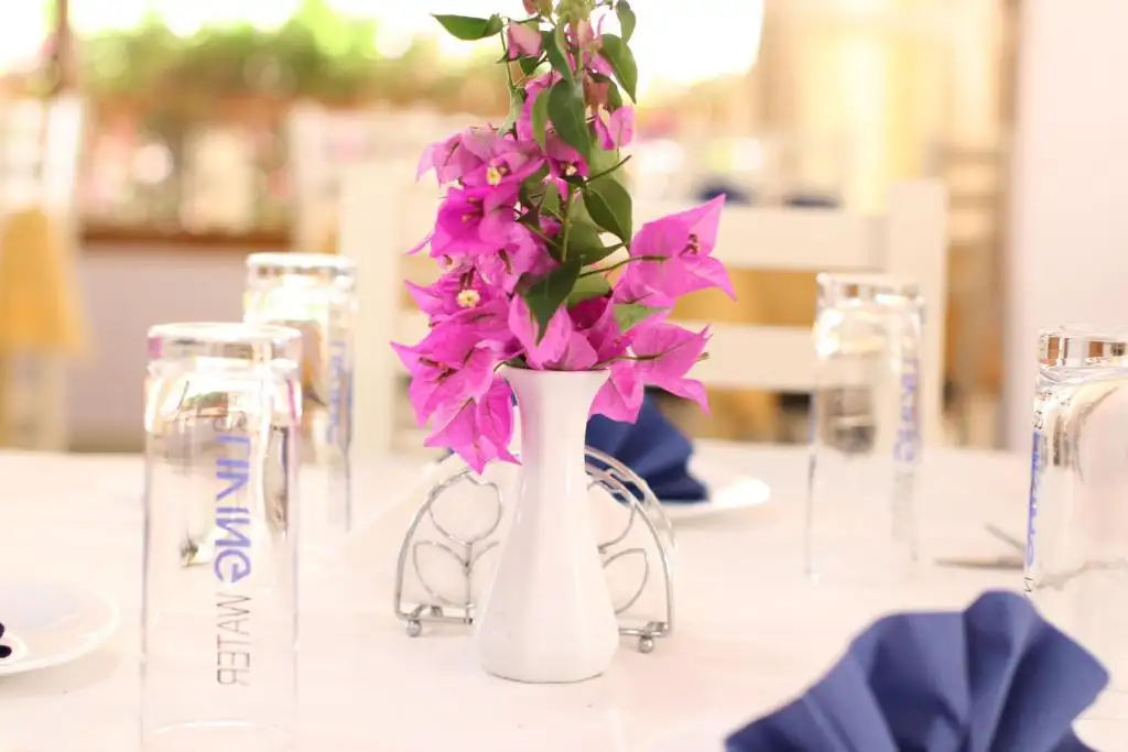 img_id_550818.webp