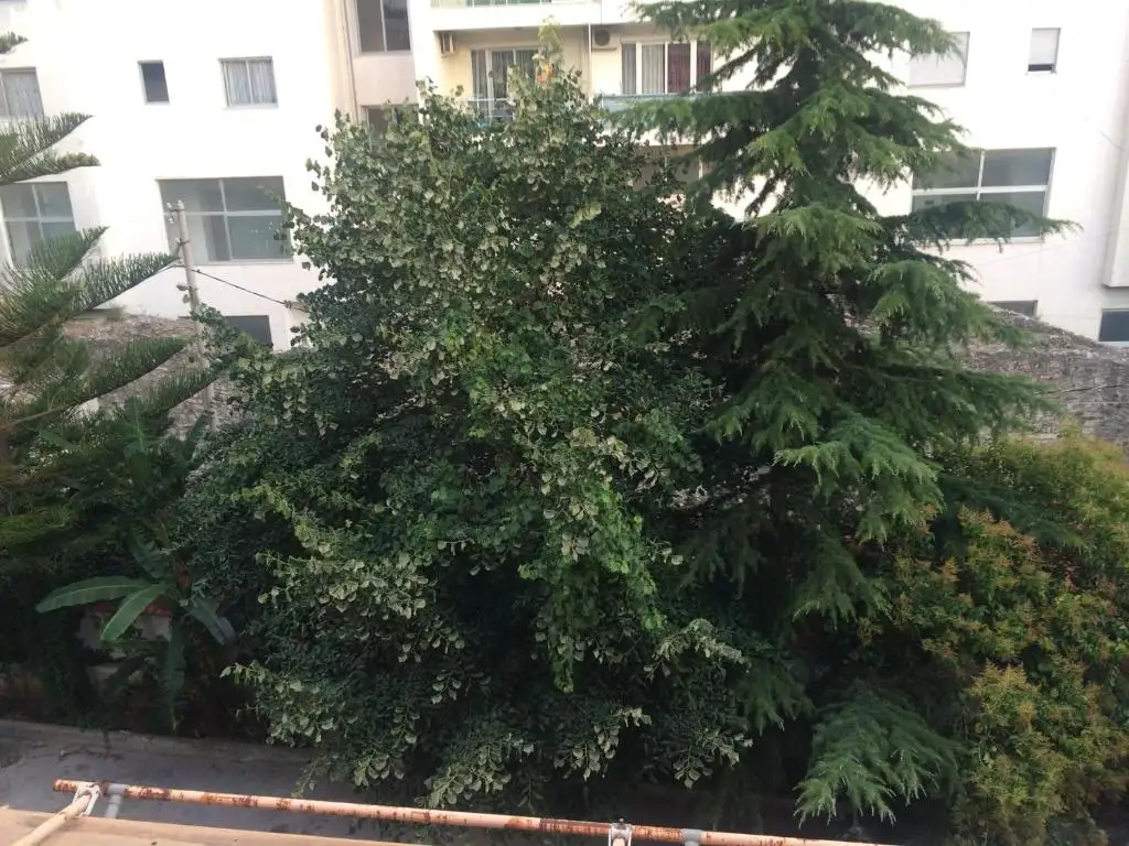 img_id_550823.webp