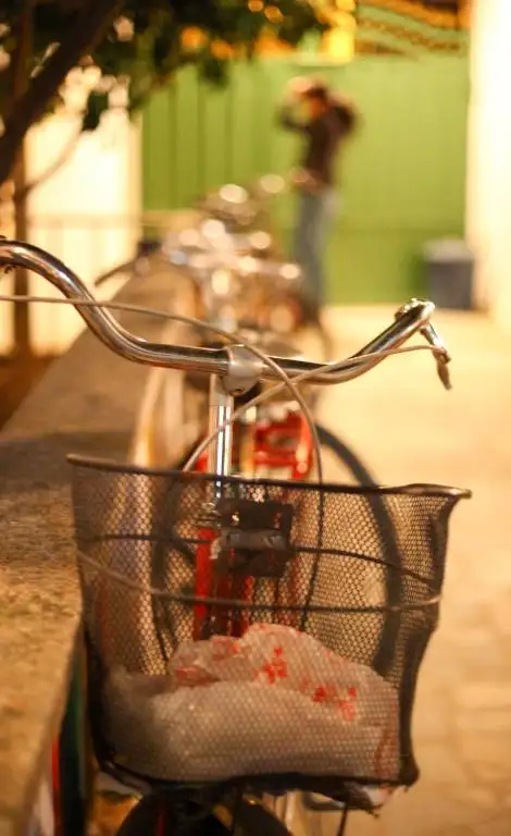 img_id_554949.webp