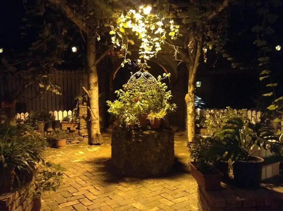 img_id_555399.webp