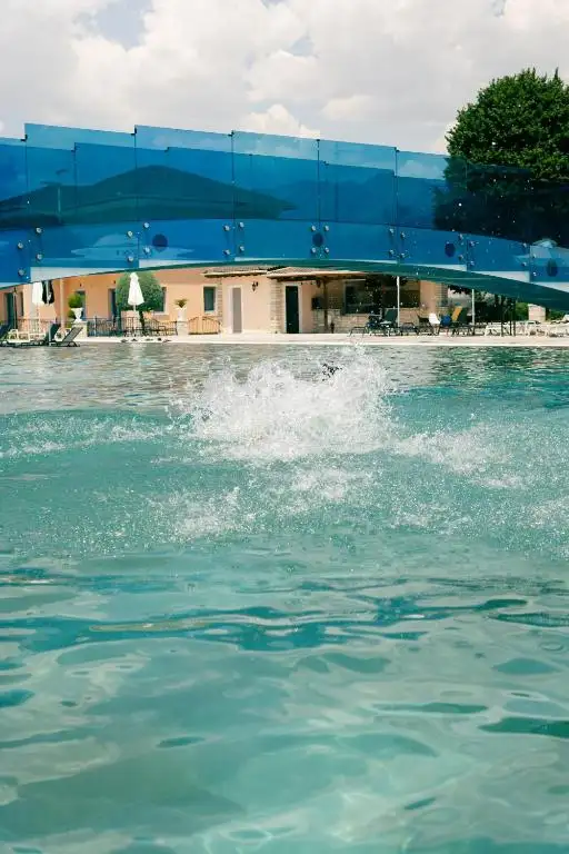 img_id_555554.webp