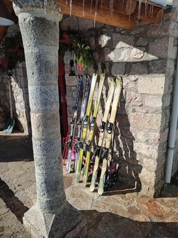 img_id_623730.webp