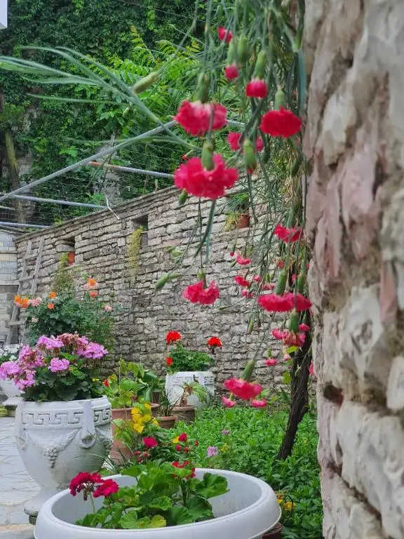 img_id_557759.webp