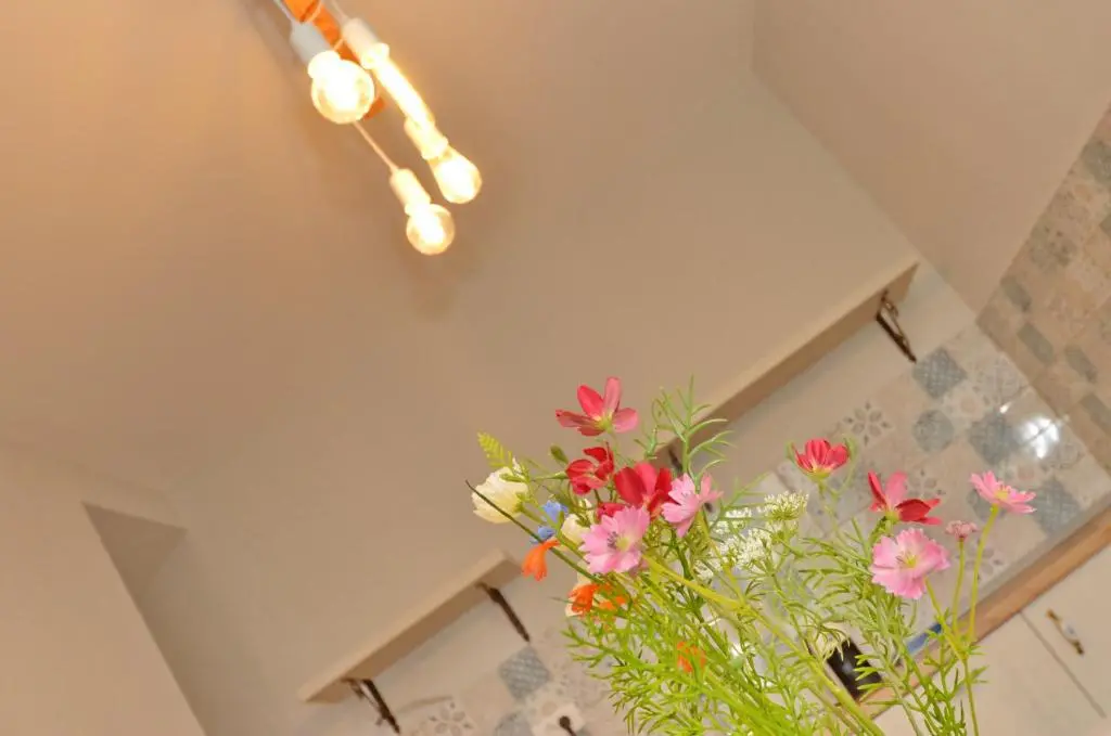 img_id_2459089.webp