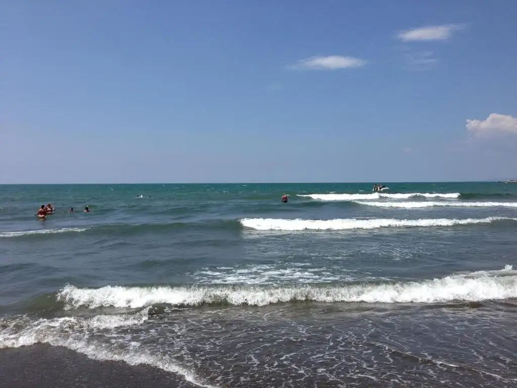 img_id_624062.webp