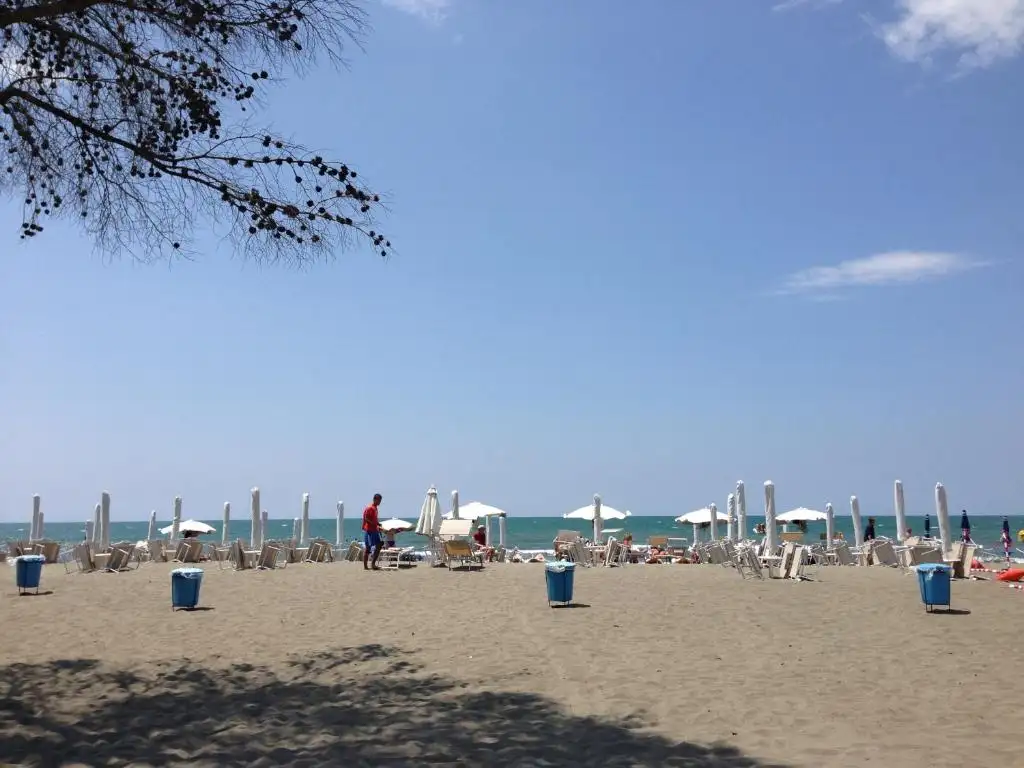 img_id_624088.webp