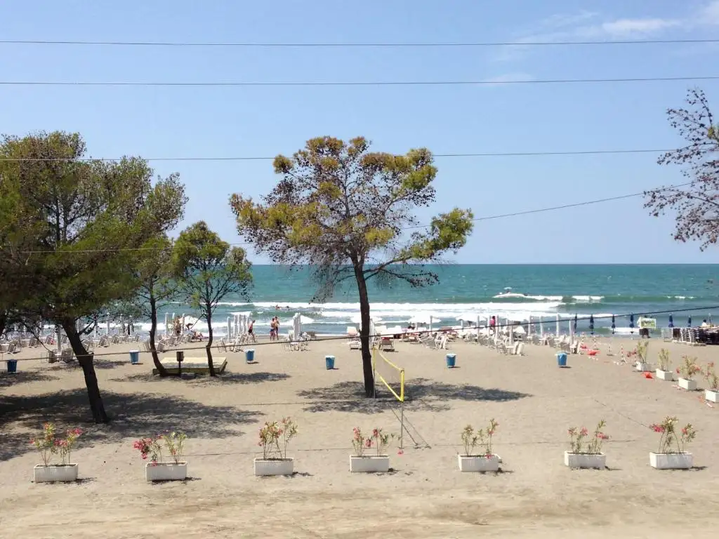 img_id_624095.webp