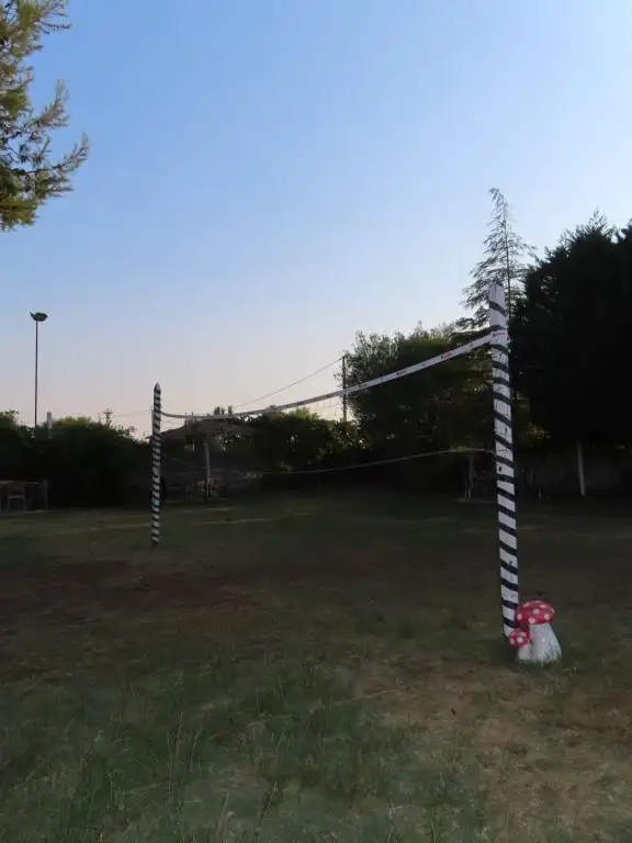 img_id_624193.webp