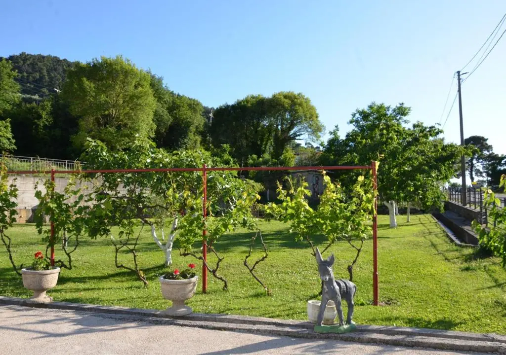 img_id_2458567.webp