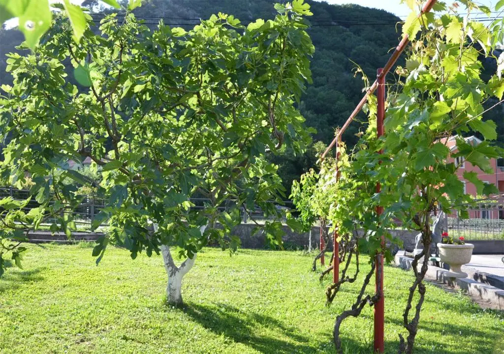 img_id_2458592.webp
