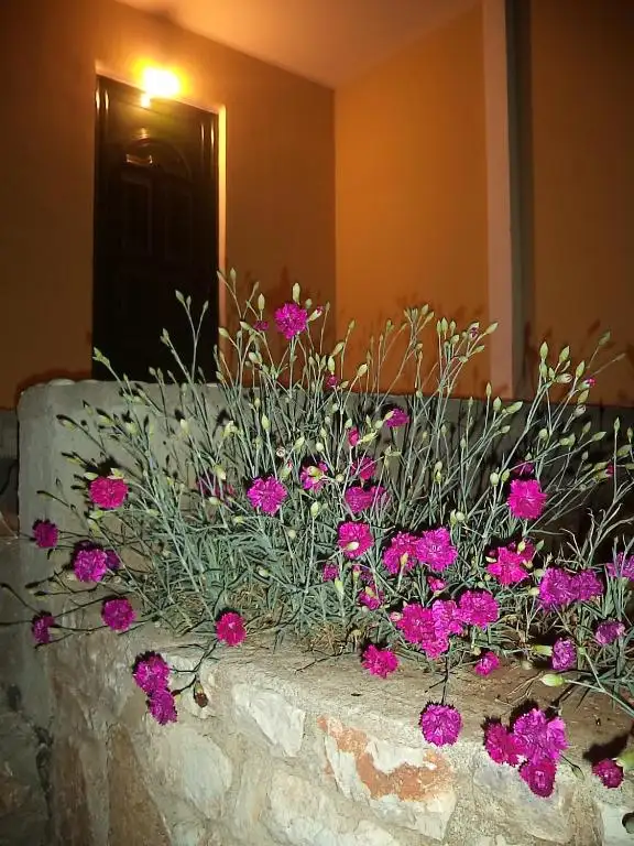 img_id_563242.webp