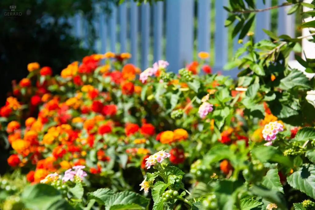 img_id_564051.webp