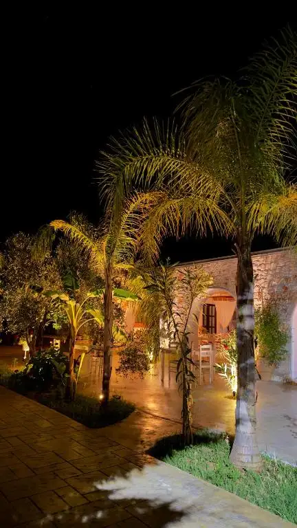 img_id_564691.webp
