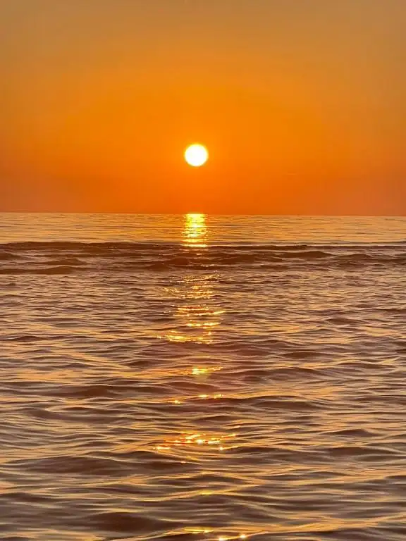 img_id_565243.webp