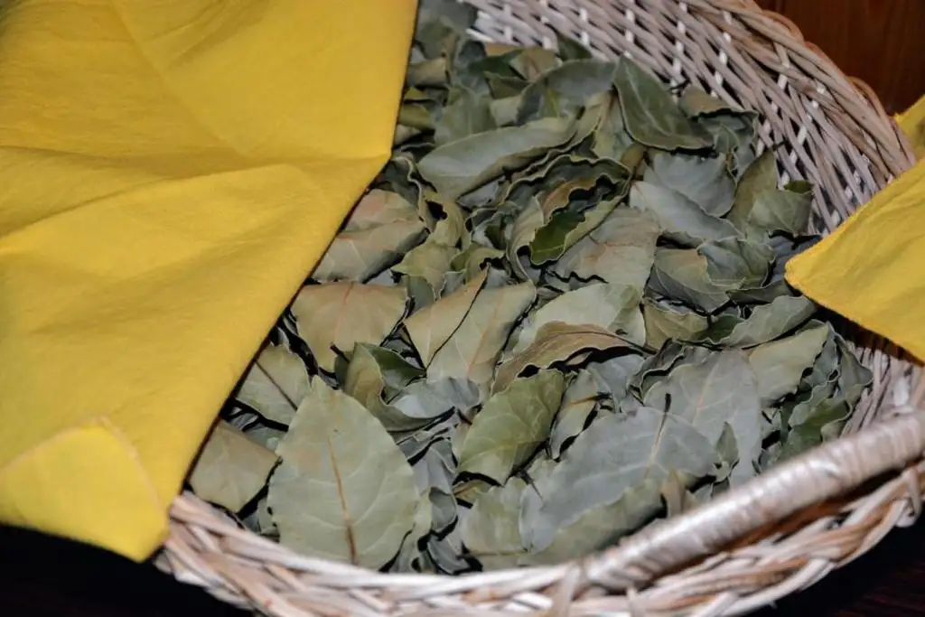 img_id_567887.webp