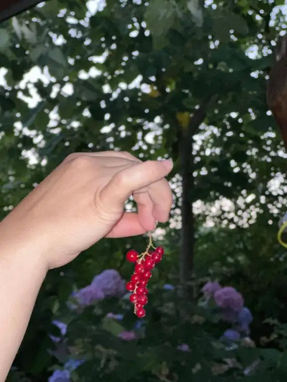 img_id_567903.webp