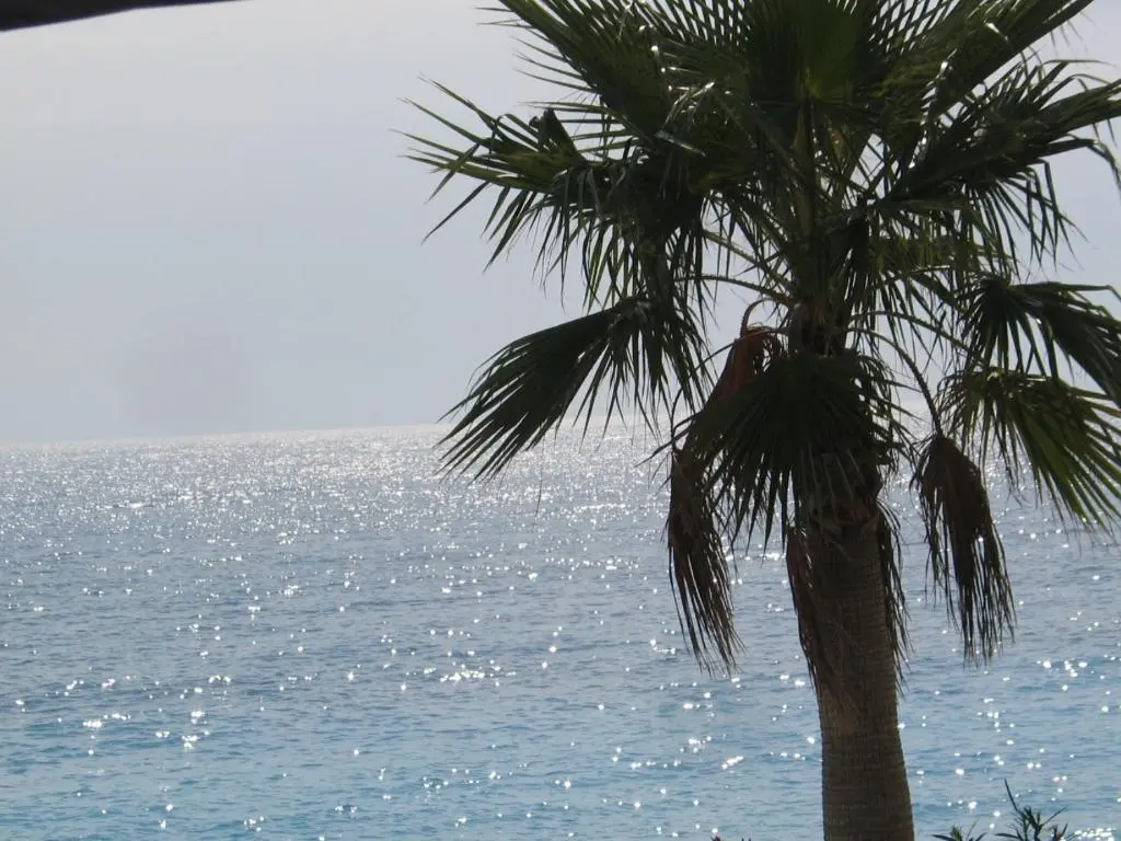 img_id_923383.webp