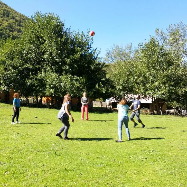 img_id_569734.webp