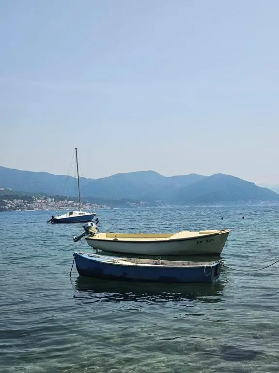 img_id_2457230.webp