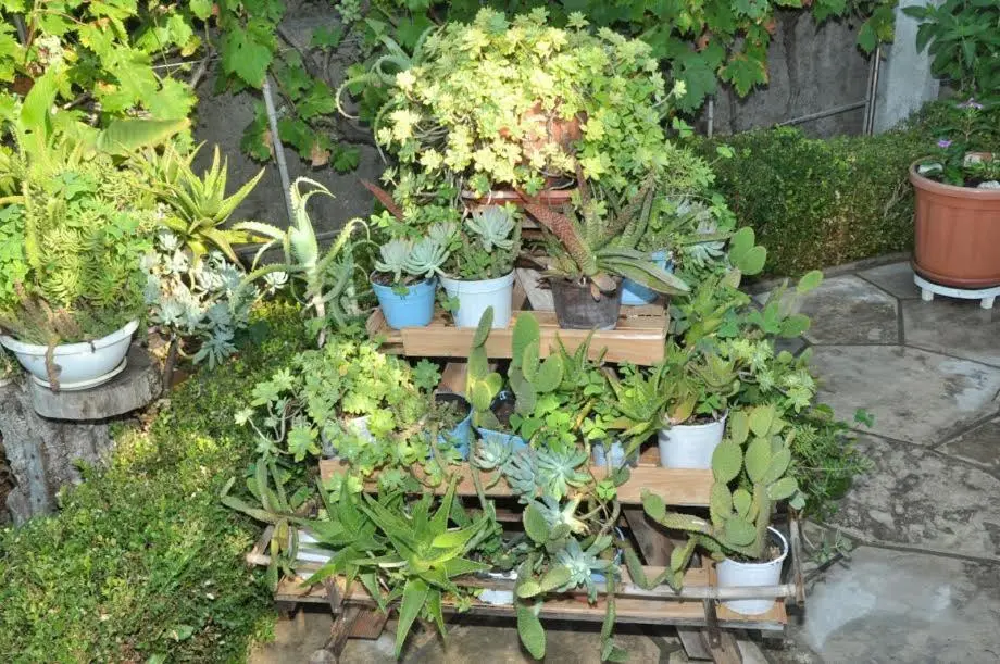 img_id_2457239.webp