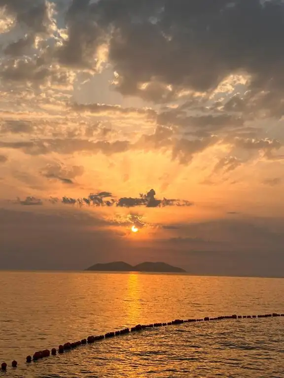 img_id_570068.webp