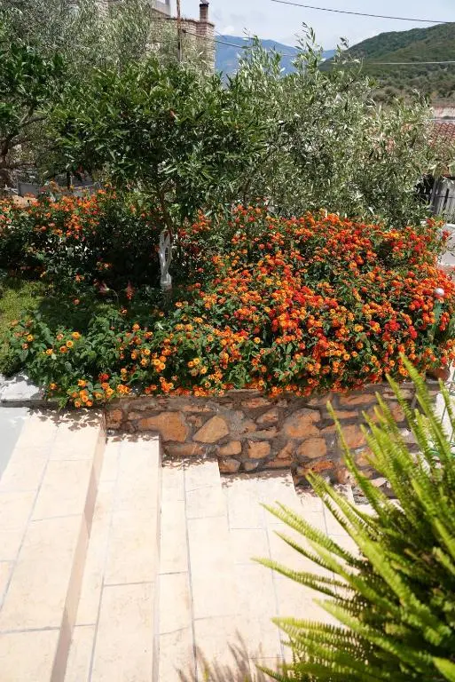 img_id_922246.webp