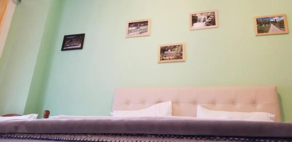 img_id_941617.webp