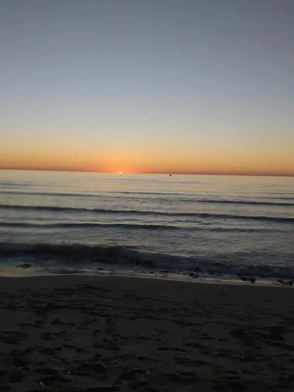 img_id_574039.webp