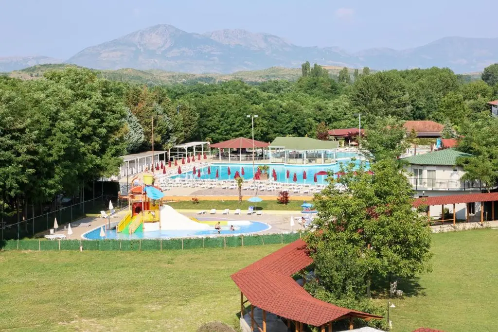 img_id_895423.webp