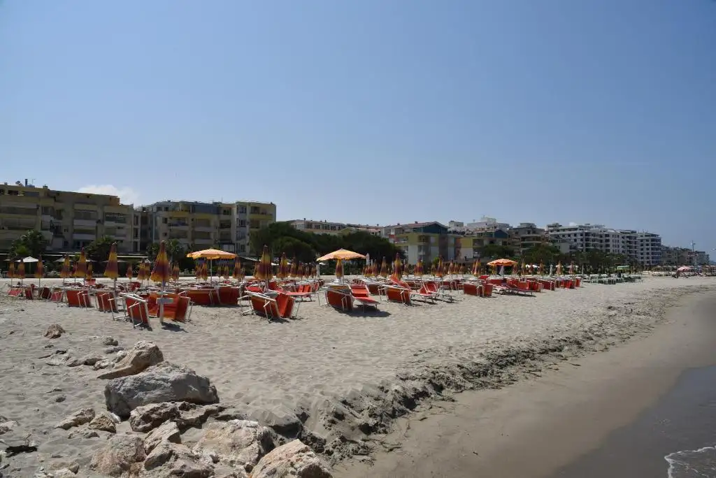 img_id_576241.webp