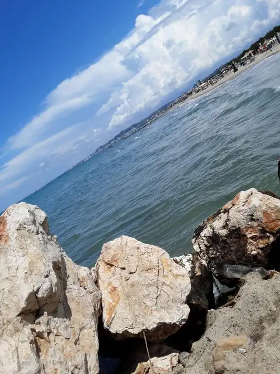 img_id_576243.webp