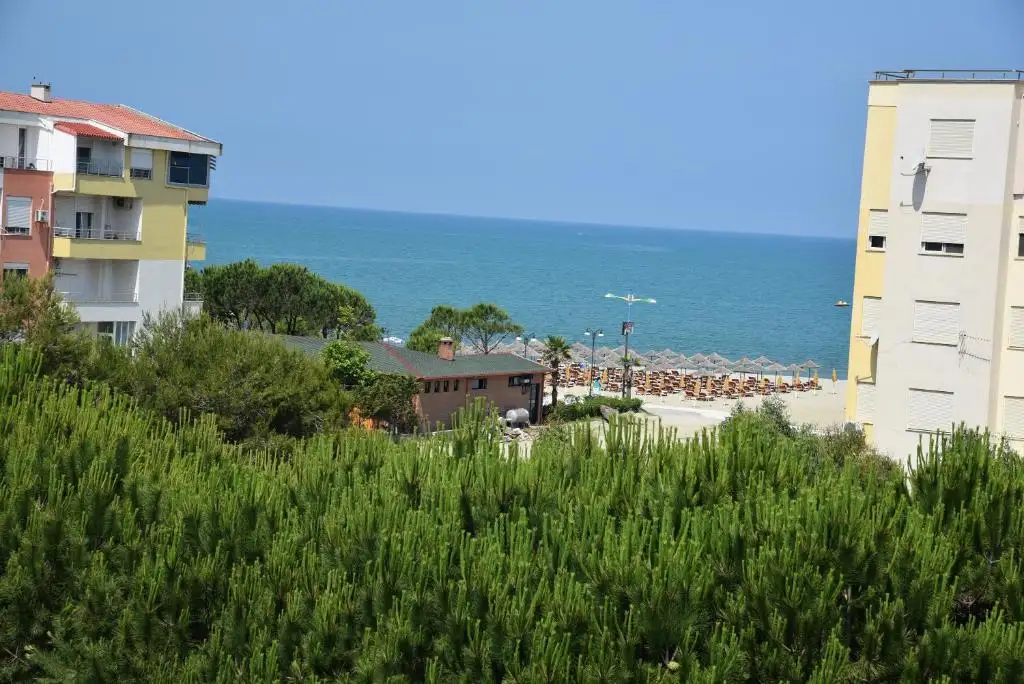 img_id_576249.webp