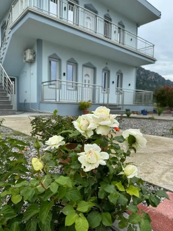 img_id_576297.webp