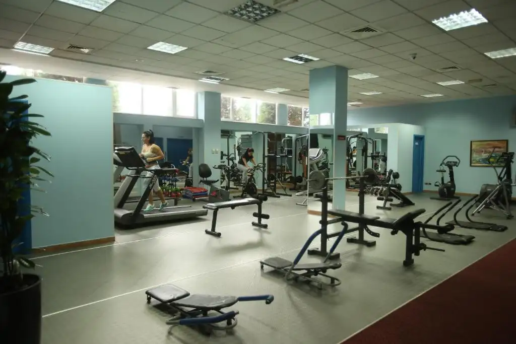 img_id_577478.webp