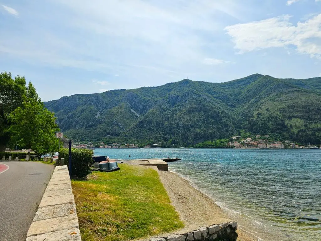 img_id_2455761.webp