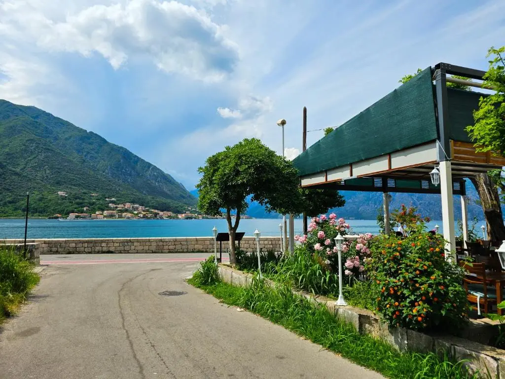 img_id_2455766.webp