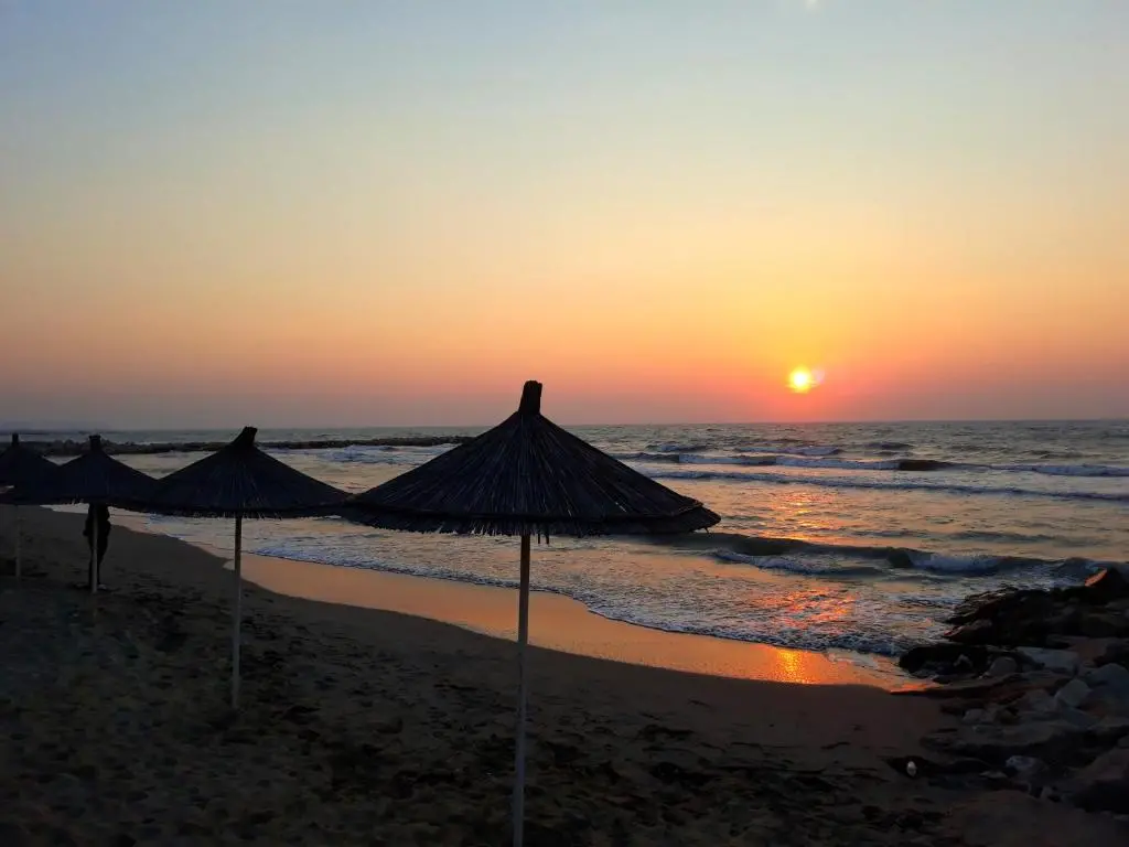 img_id_1019238.webp